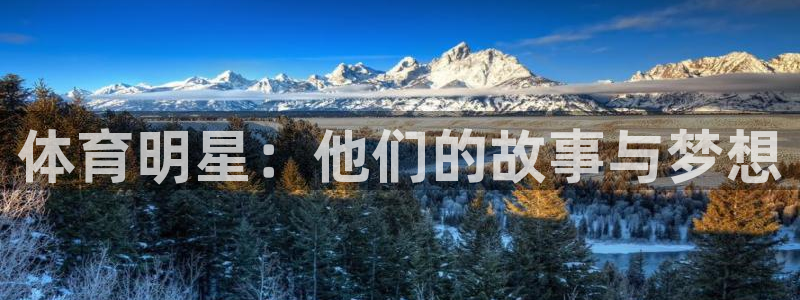 体育明星：他们的故事与梦想