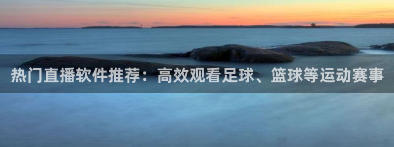 热门直播软件推荐：高效观看足球、篮球等运动赛事