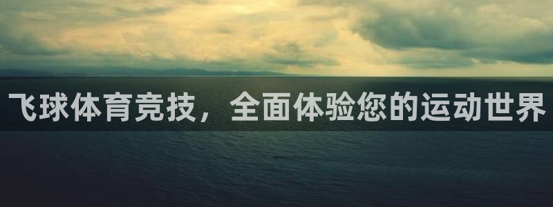 飞球体育竞技，全面体验您的运动世界