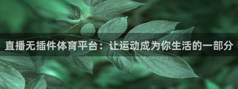 直播无插件体育平台：让运动成为你生活的一部分