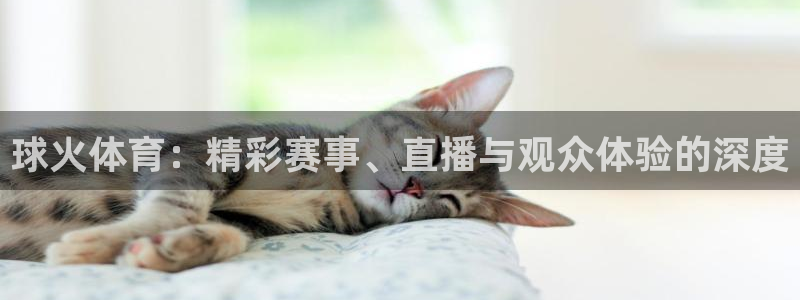 球火体育：精彩赛事、直播与观众体验的深度