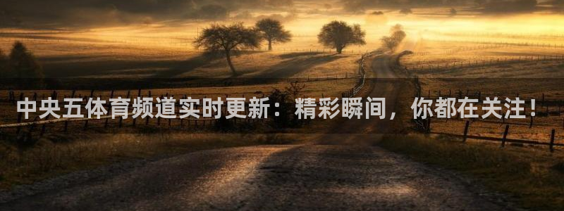 中央五体育频道实时更新：精彩瞬间，你都在关注！